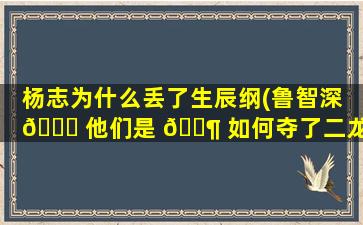 杨志为什么丢了生辰纲(鲁智深 🐟 他们是 🐶 如何夺了二龙山的)